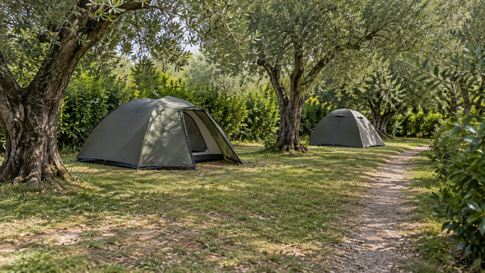 AI-gegenereerd algemeen sfeerbeeld met tenten en olijfbomen; geen foto van Camping Garda in Riva del Garda.