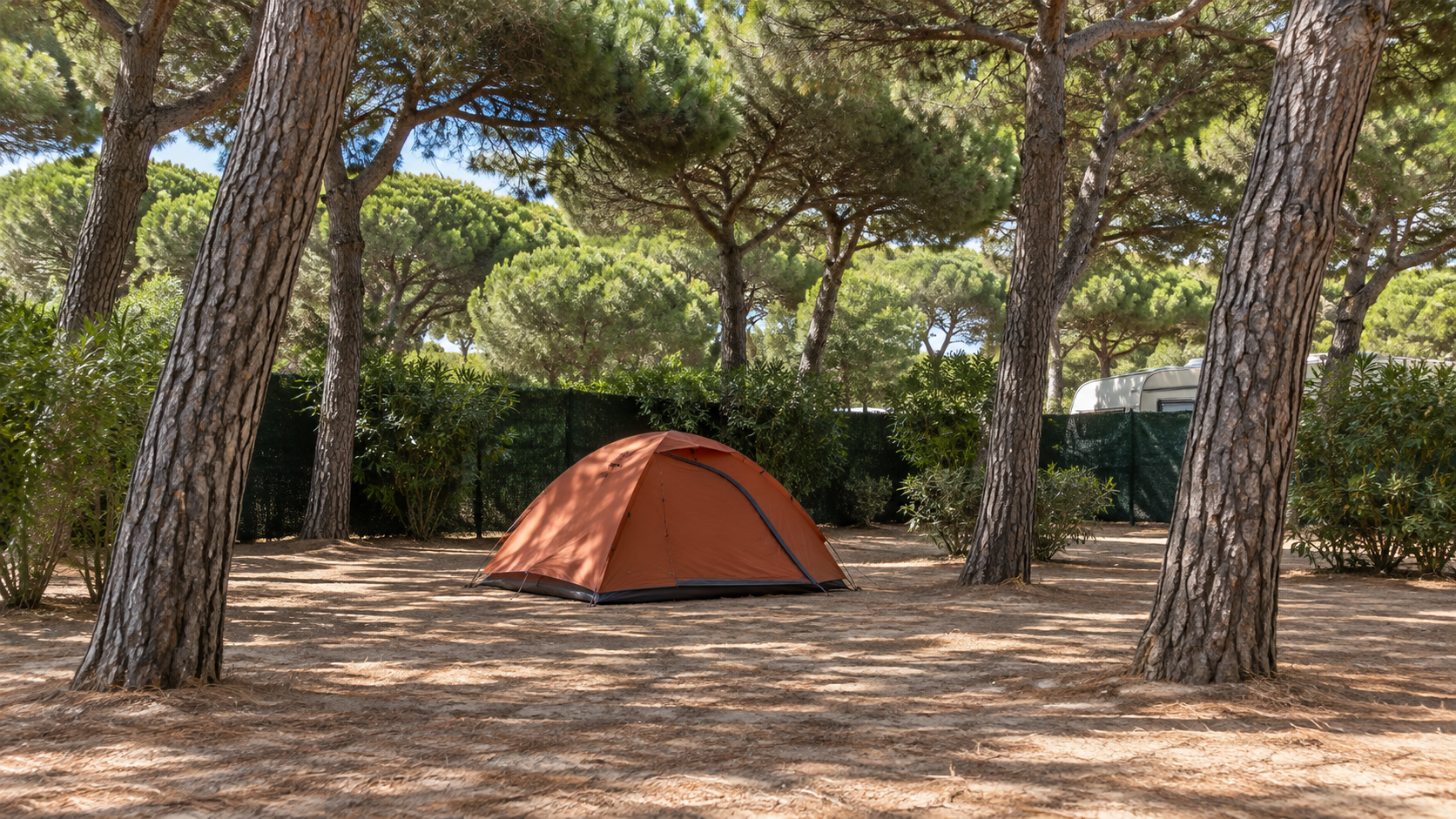 AI-gegenereerd sfeerbeeld, geen foto van de camping