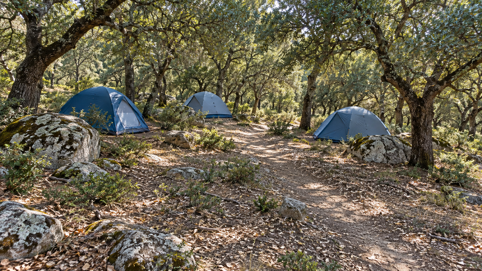 AI-gegenereerd sfeerbeeld, geen foto van de camping